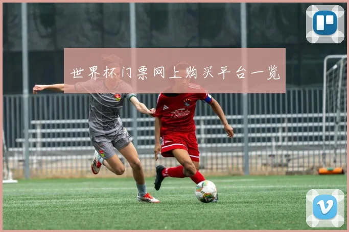 世界杯门票网上购买平台一览