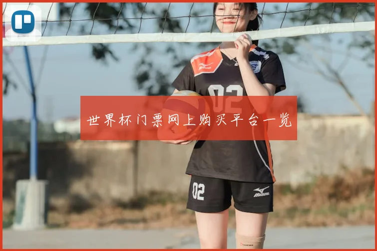 世界杯门票网上购买平台一览