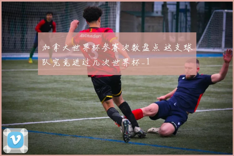 加拿大世界杯参赛次数盘点 这支球队究竟进过几次世界杯_1