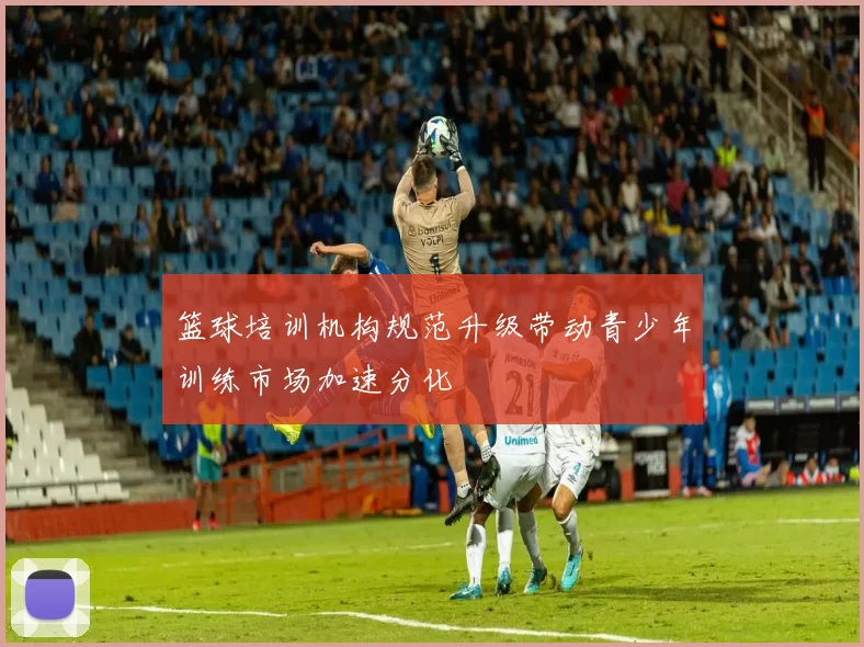 篮球培训机构规范升级带动青少年训练市场加速分化