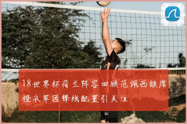 18世界杯荷兰阵容回顾范佩西缺席橙衣军团锋线配置引关注