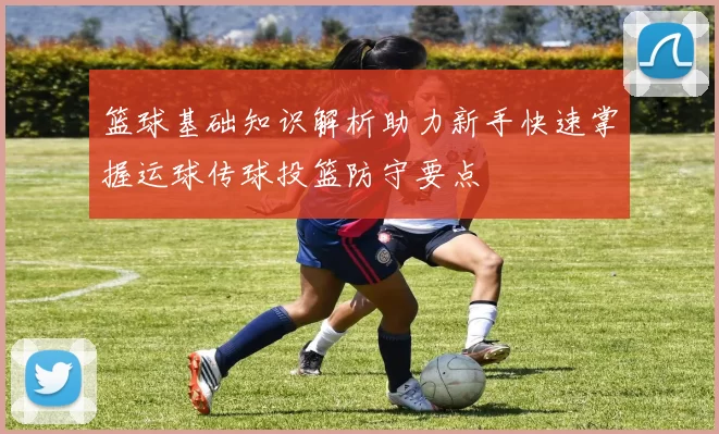 篮球基础知识解析助力新手快速掌握运球传球投篮防守要点