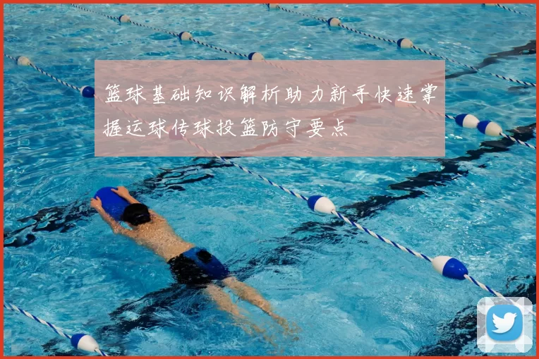 篮球基础知识解析助力新手快速掌握运球传球投篮防守要点