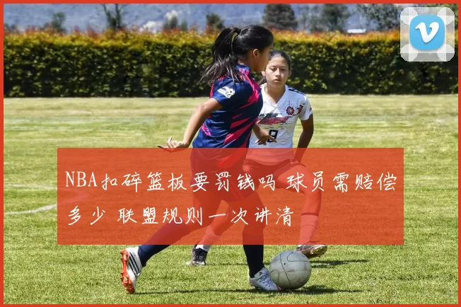 NBA扣碎篮板要罚钱吗 球员需赔偿多少 联盟规则一次讲清